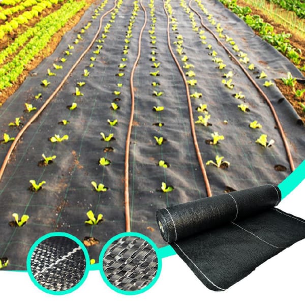 4x50m Finely Processed Agriculture Plastic Ground Cover