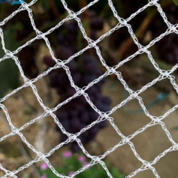 Anti Bird Netting Mesh