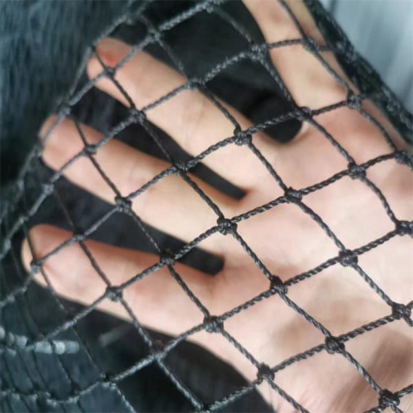 Factory Polyethylene Polypropylene Bird Net Cat Net Balcony