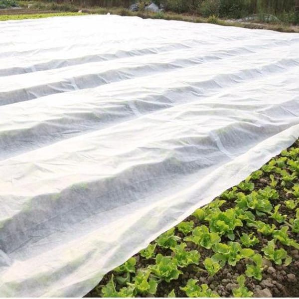 Plant Cover With Nonwoven Fabric/water Pot Cover Non-woven Fabric Agro Control Ground Cover Agriculture Non Woven Fabric