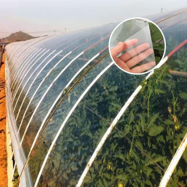 200 Micron Transparent Greenhouse Film Transparent UV Protect Plastic Films For Greenhouse