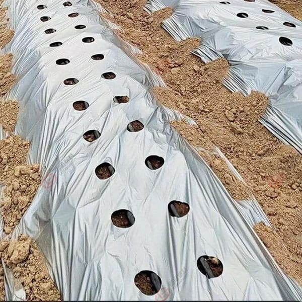 Agricultural PE Garden Ground Cover Mulching Sheets Plastic Mulch Film