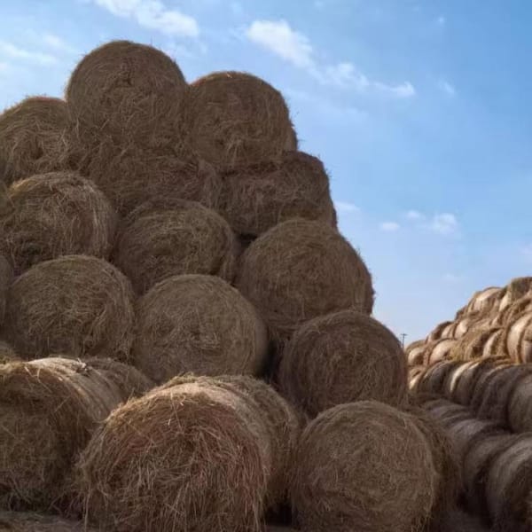 Direct From Manufacturer Portable Hdpe Windproof Grass Netting Bale Garden Netting For Bundled Grass Coverage