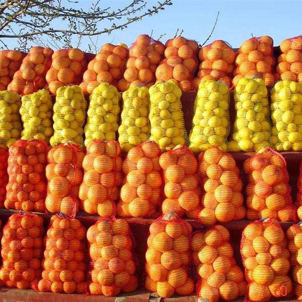 Plastic Vegetable Fruit Potato Bags Onion Fruit Raschel Bag