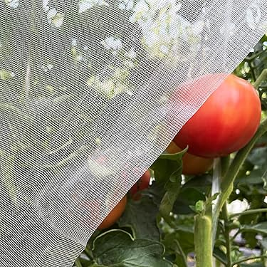 Anti Insect Net for agriculture