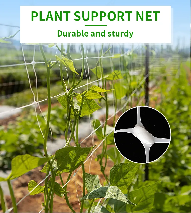 plant support net white.png