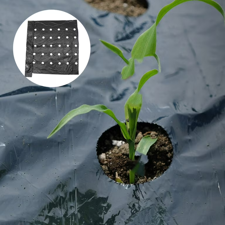 Mulch Film 29.png