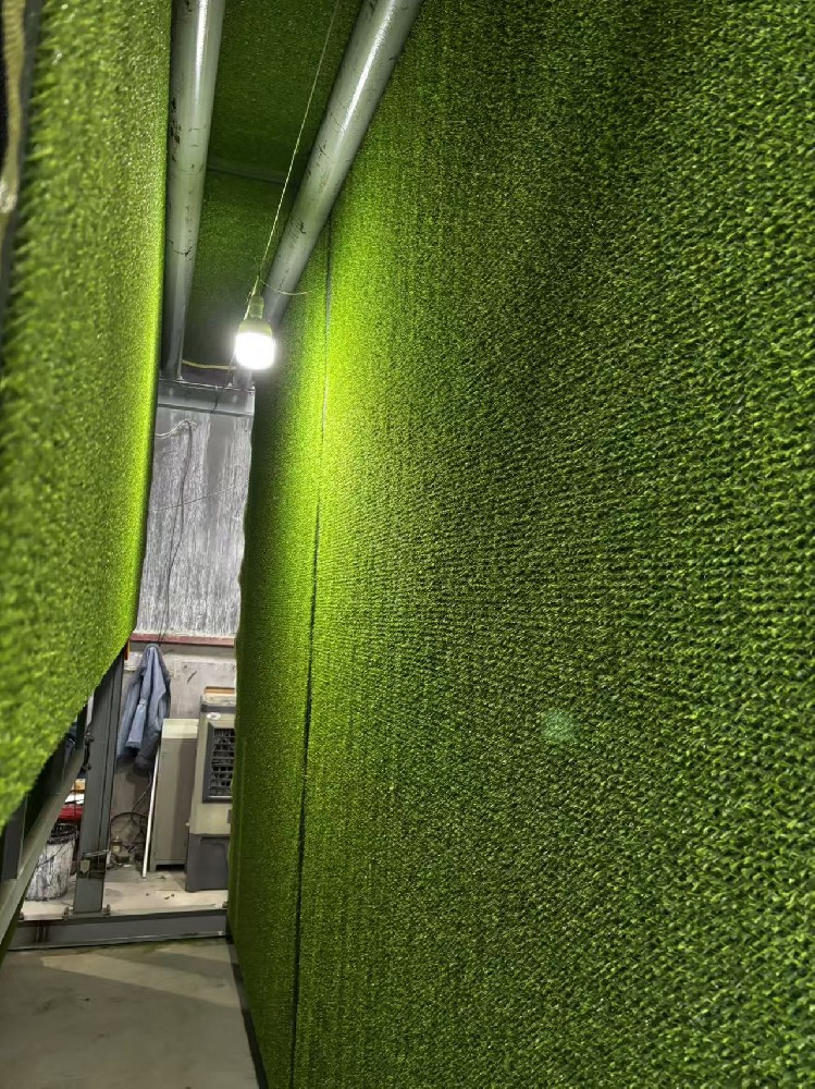 Artificial Grass
