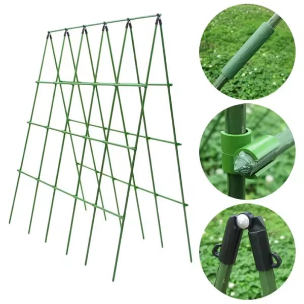 Plastic coated steel pipe