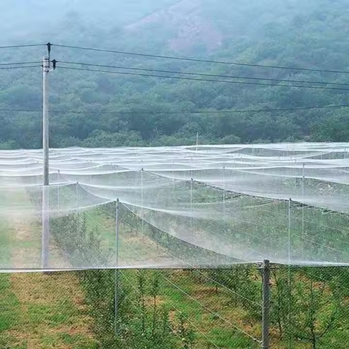 Anti Insect Net